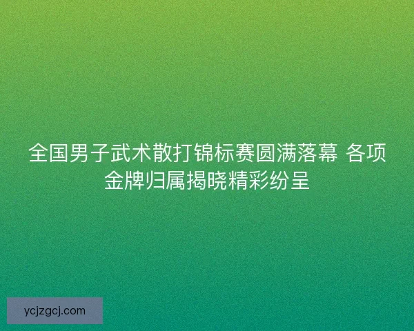 全国男子武术散打锦标赛圆满落幕 各项金牌归属揭晓精彩纷呈