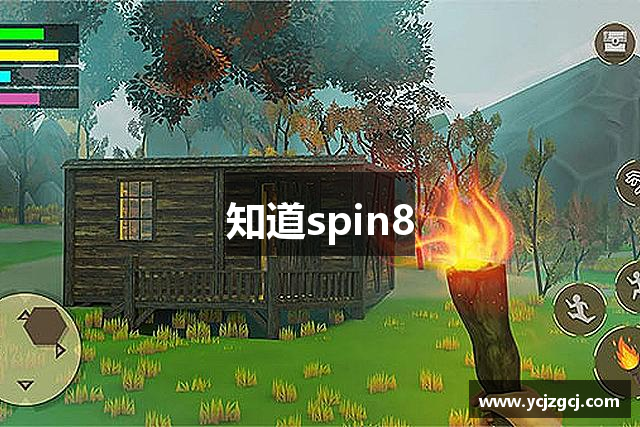 知道spin8